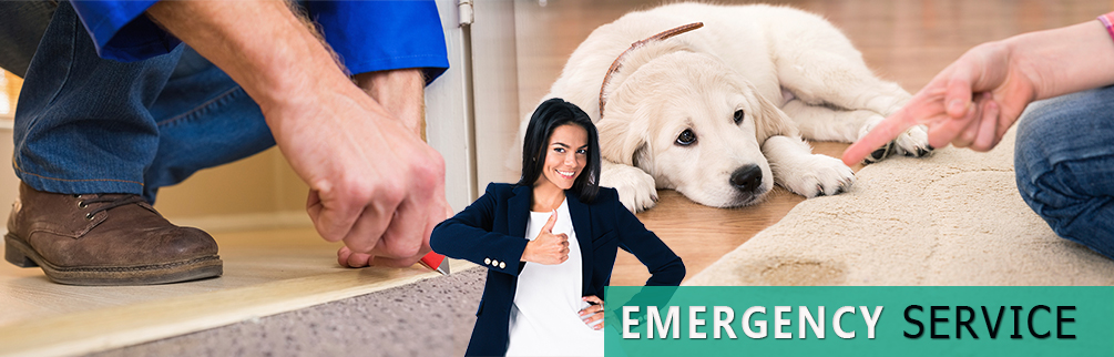Carpet Cleaning Montebello, CA | 323-331-9235 | Fast Response